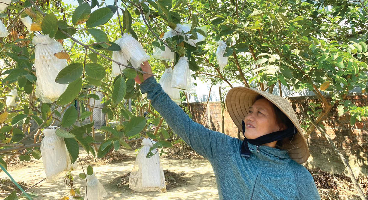 Đòn bẩy cho những mô hình khởi nghiệp