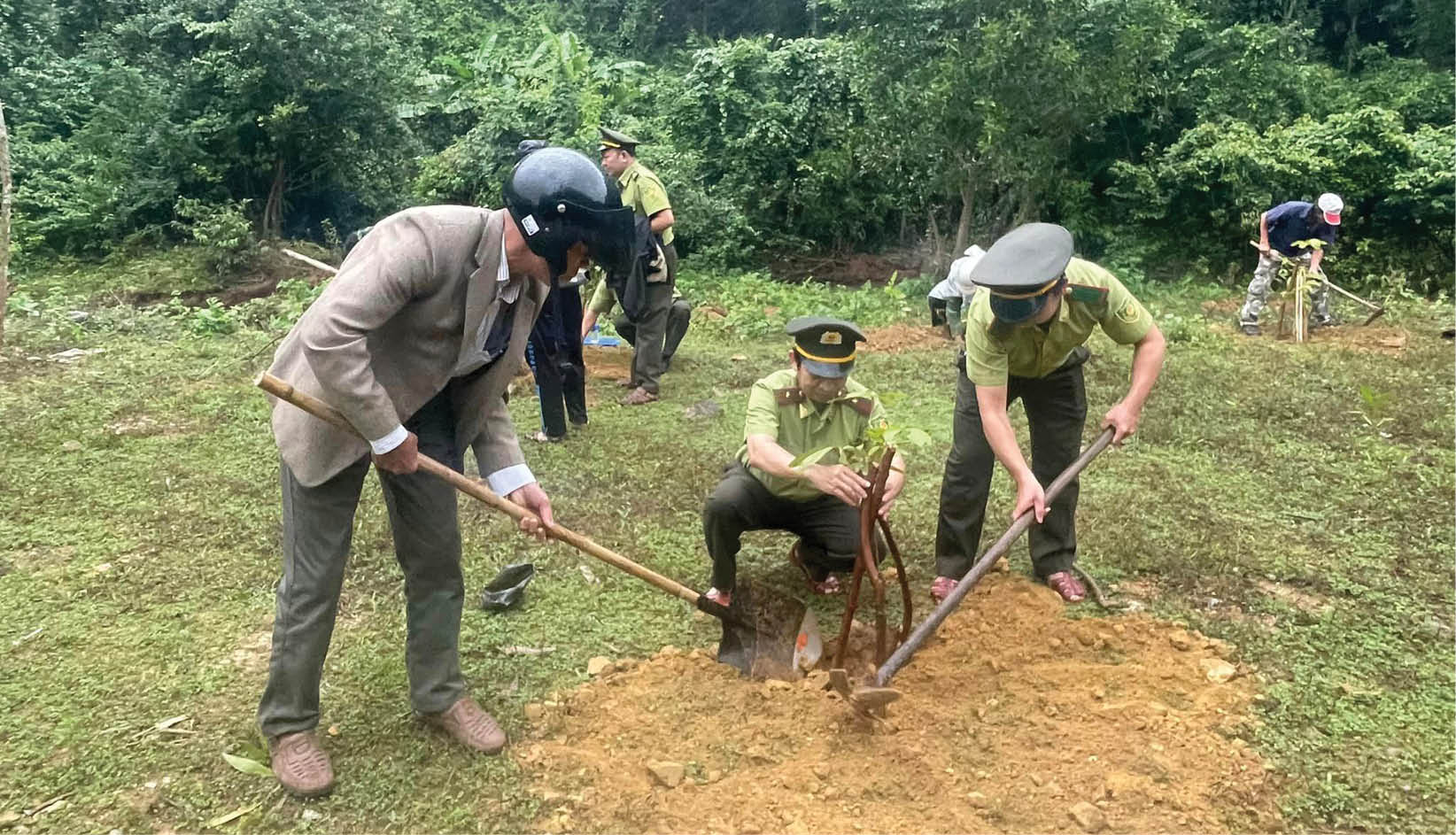 Để lâm nghiệp thực sự trở thành ngành kinh tế mũi nhọn