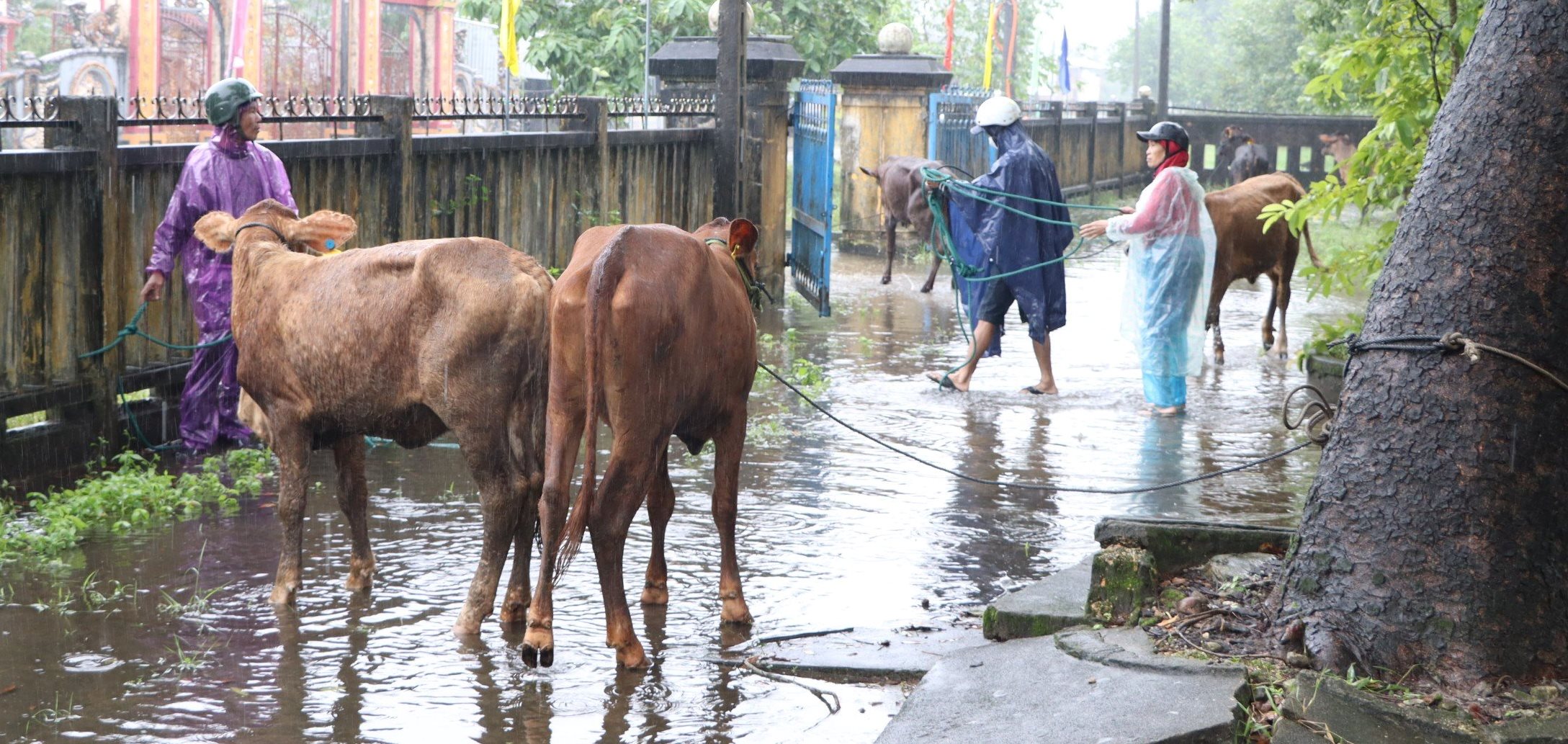 Trao sinh kế, phát triển mô hình giảm nghèo hơn 290 triệu đồng