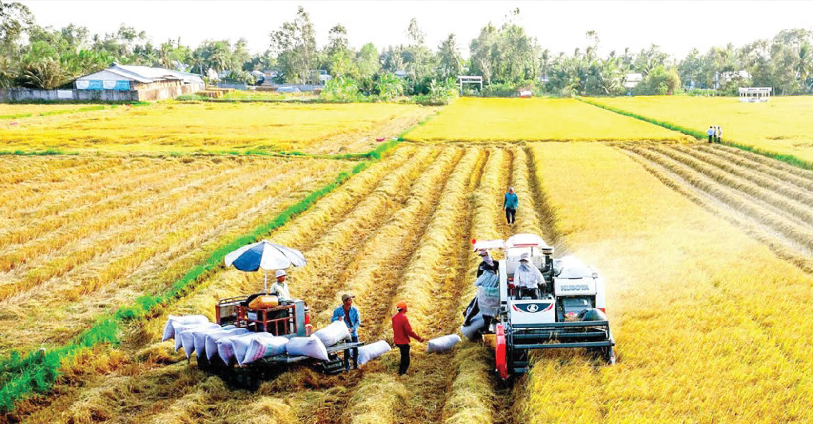 Phải tăng cường hành động giảm thiệt hại liên quan đến khí hậu cho ngành nông nghiệp