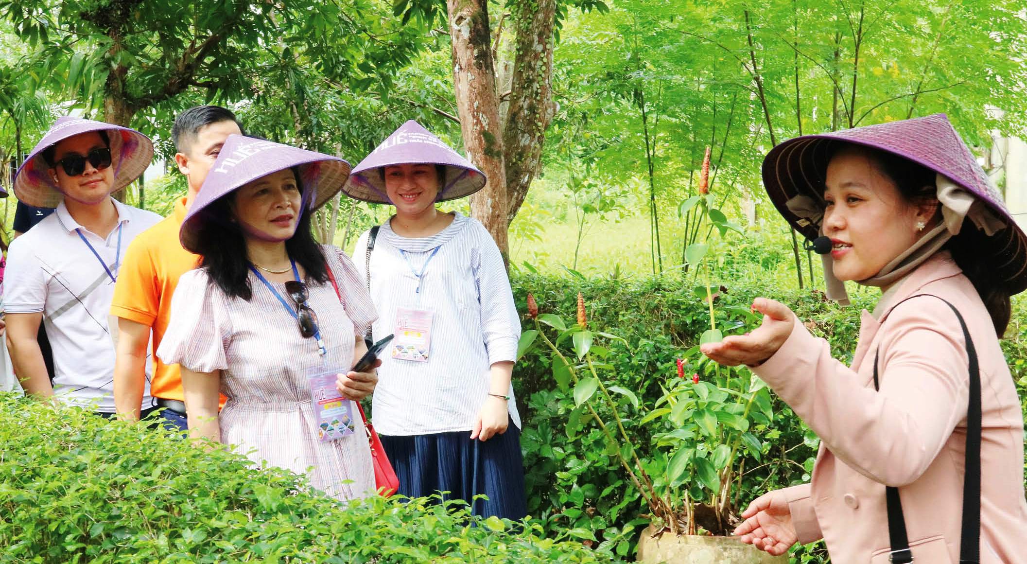 Thay đổi để bắt kịp xu hướng mới nổi của ngành du lịch