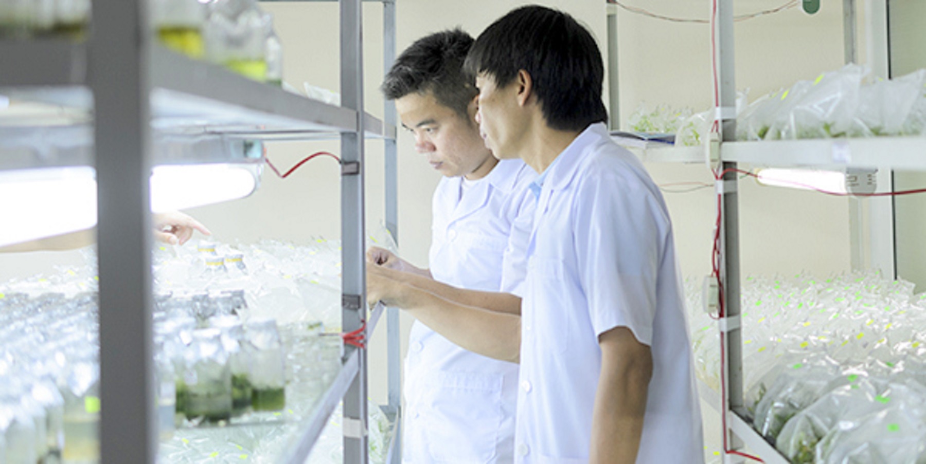 Đưa Viện Công nghệ sinh học phát triển xứng tầm