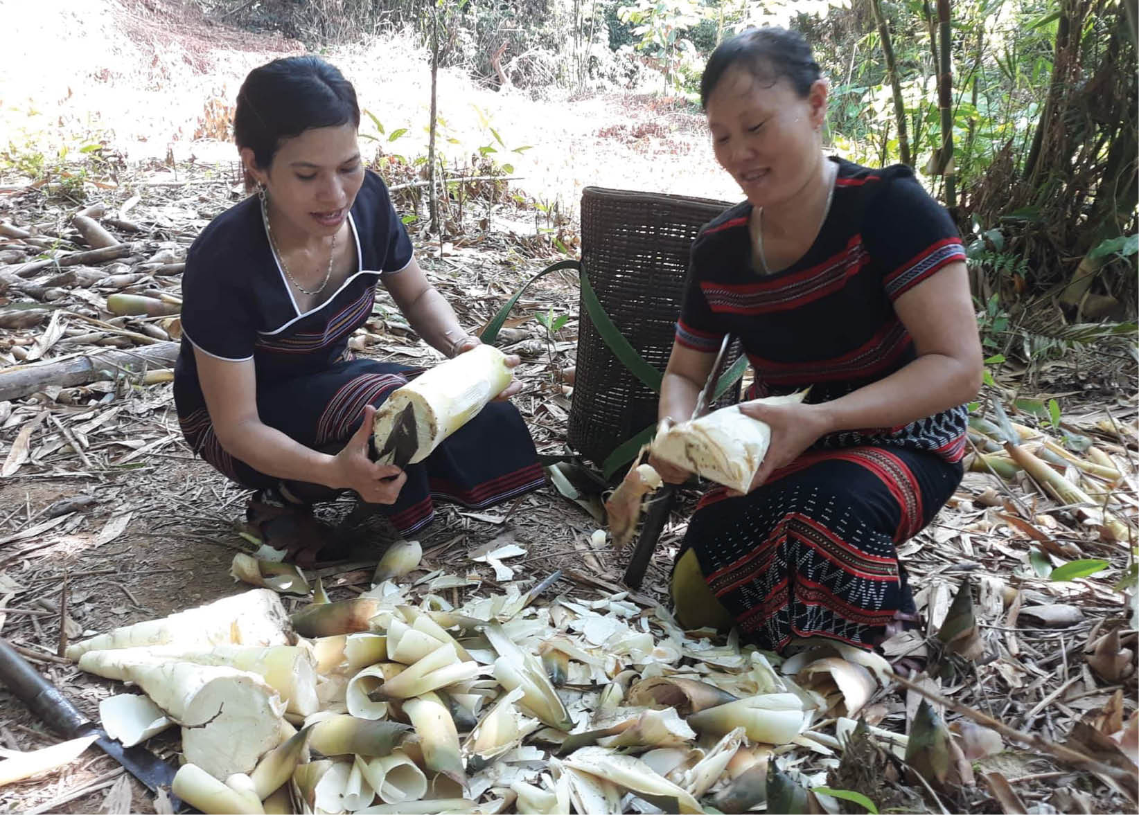 Hàng ngàn hộ được hưởng chính sách môi trường rừng