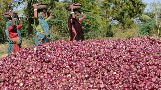 Châu Á đau đầu vì lệnh cấm xuất khẩu hành tây của Ấn Độ