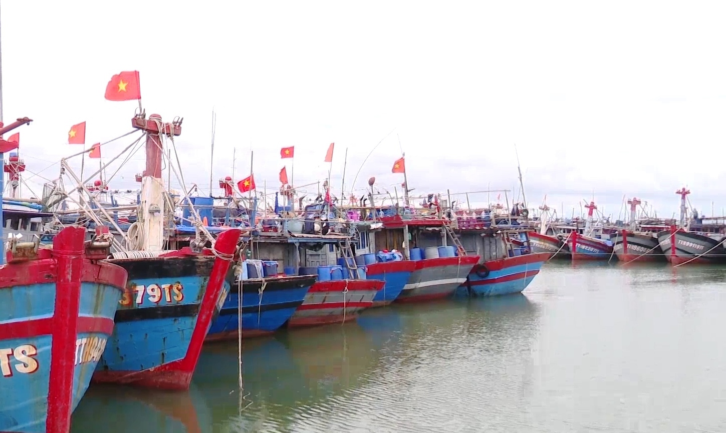 Bản tin Kinh tế - Thị trường ngày 23 12