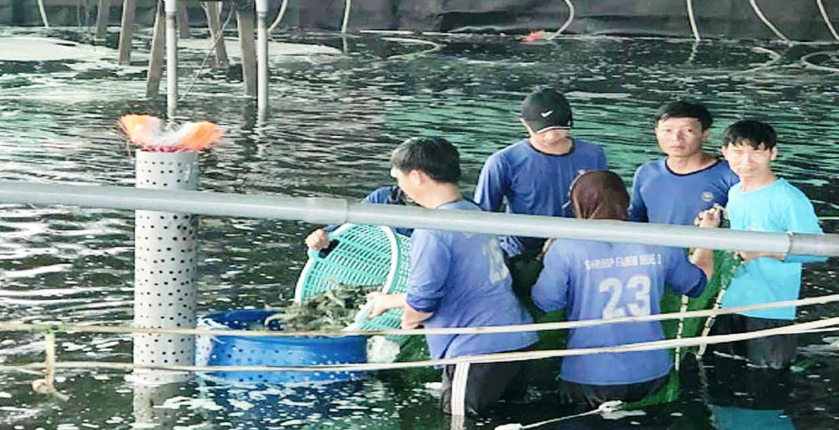 Chống rét cho thủy sản nuôi