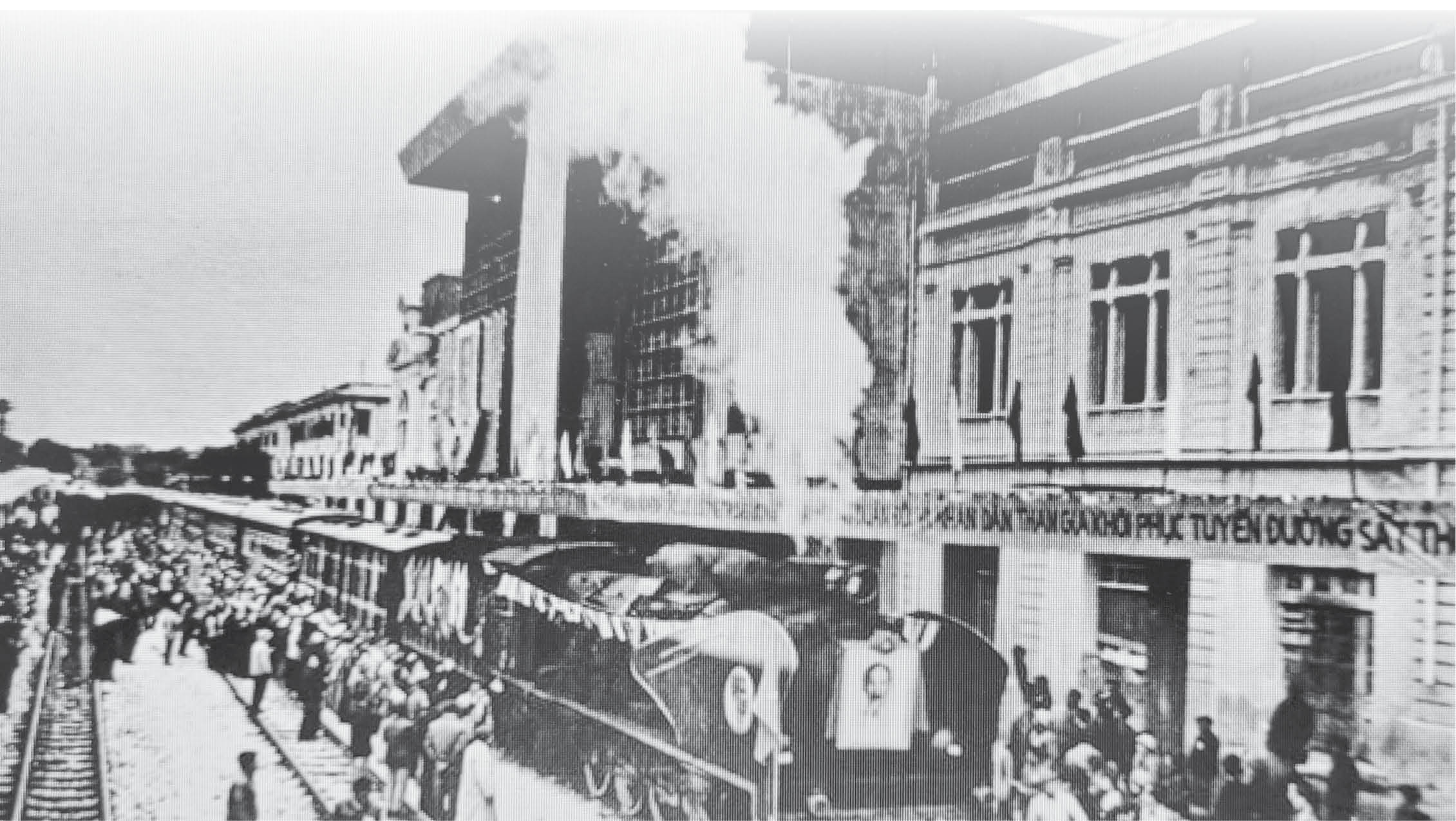 Đã có một năm Thìn như thế…