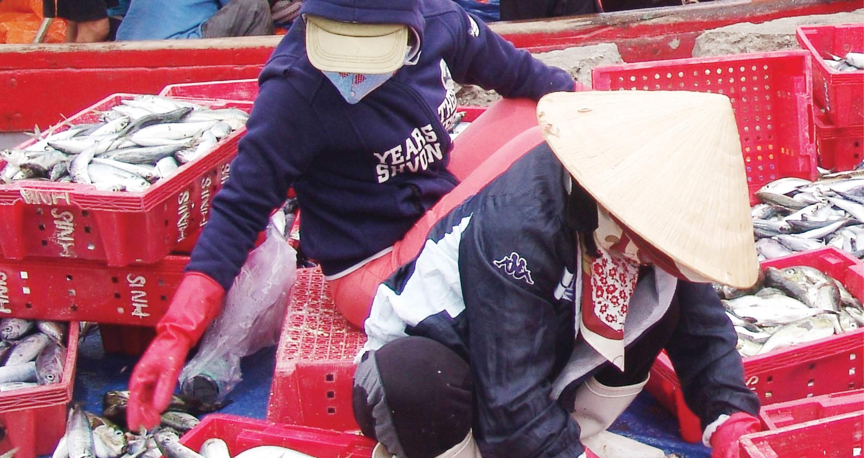 Đánh bắt xa bờ bội thu