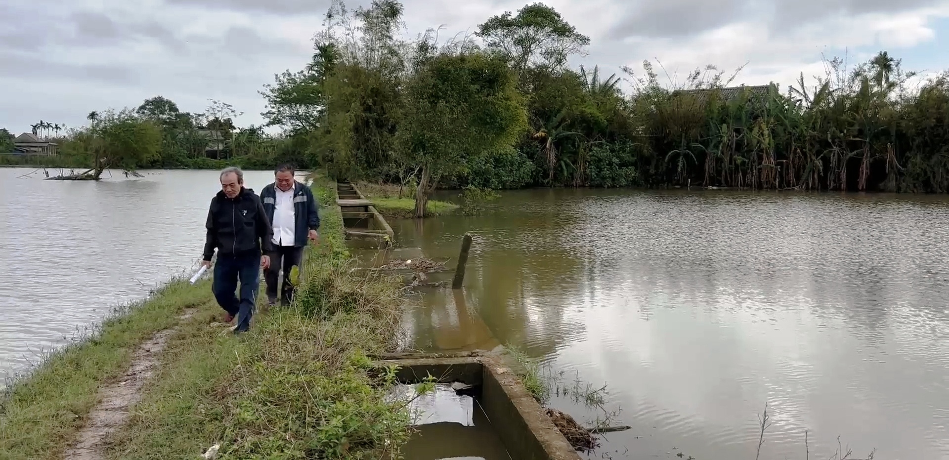 Bản tin Kinh tế - Thị trường ngày 30 12