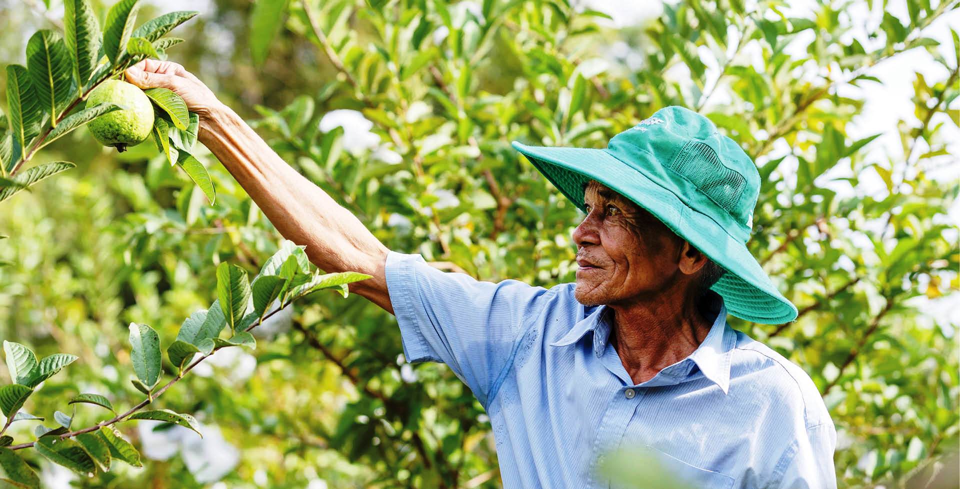 Nông thôn không còn… buồn tẻ