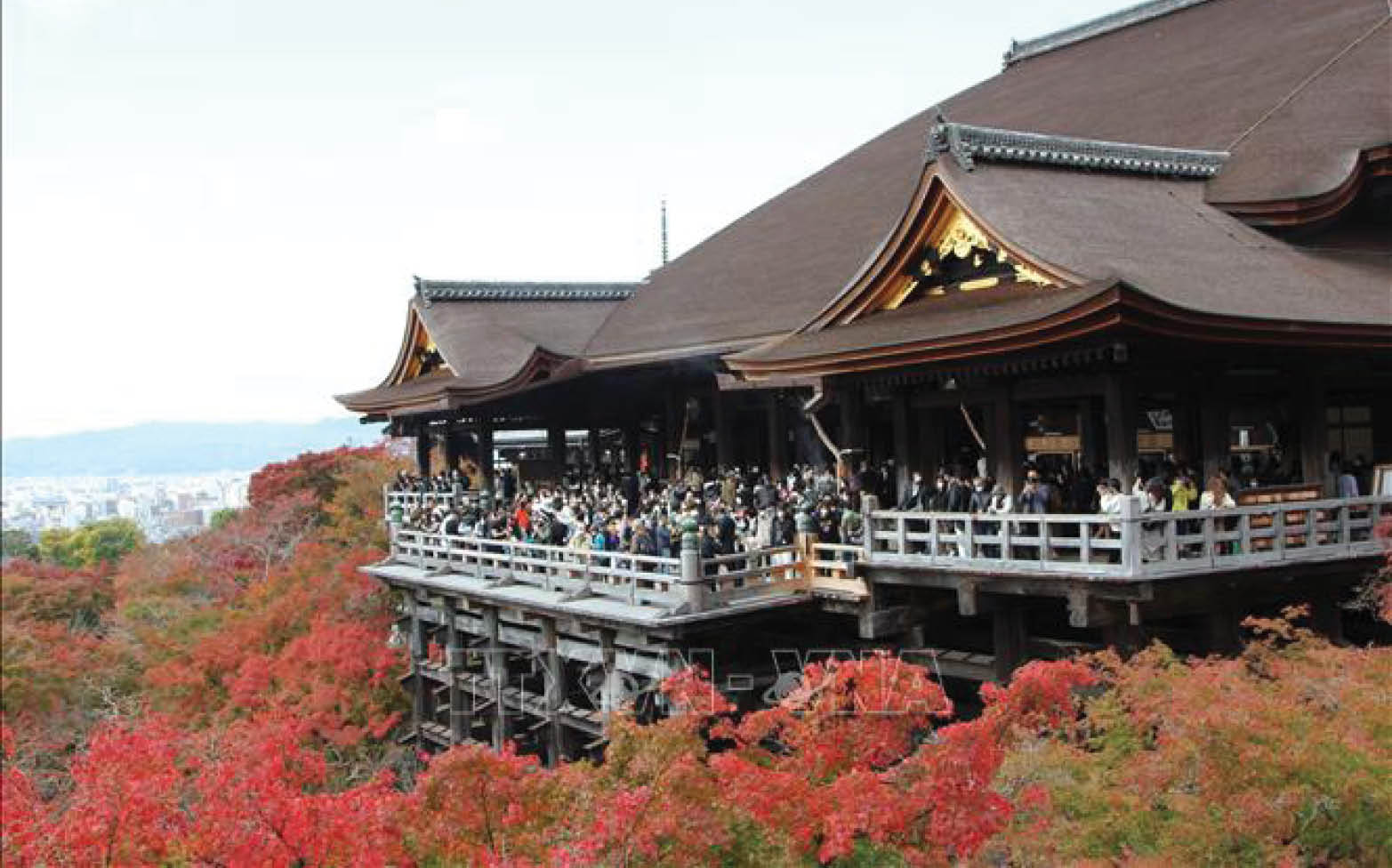 2024 sẽ là “năm của các chuyến đi khắp thế giới”