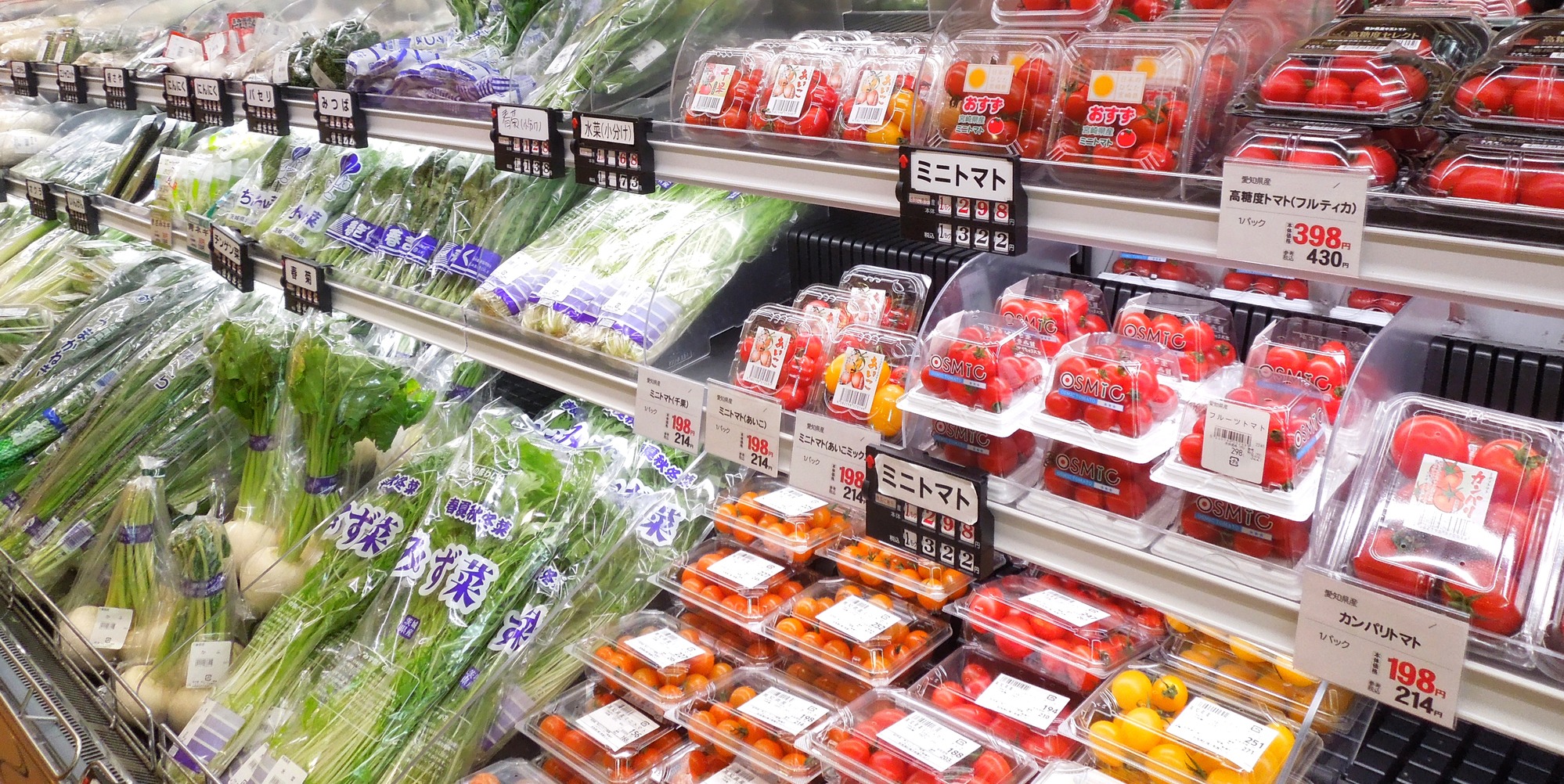 Cảnh báo Nhựa vẫn đang hiện diện rộng rãi trong thực phẩm