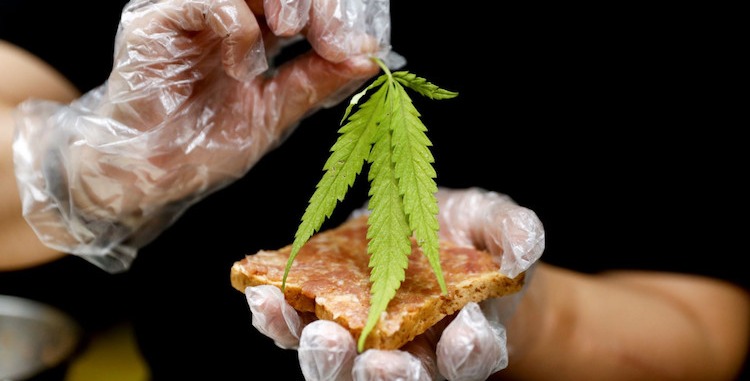 Thái Lan đề xuất lệnh cấm sử dụng cần sa để giải trí