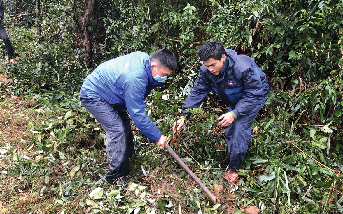 Tín hiệu vui từ việc bán tín chỉ carbon rừng