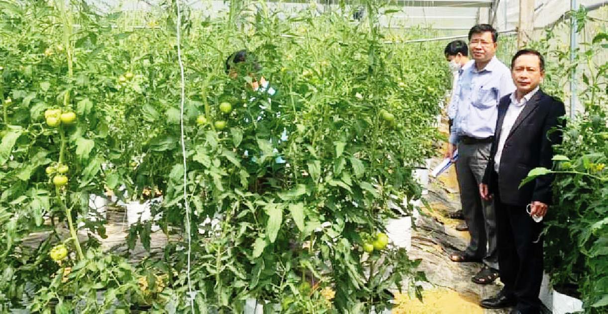 Vận động, giúp dân làm giàu