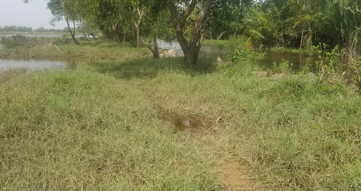 Sớm kiên cố đê phá Tam Giang