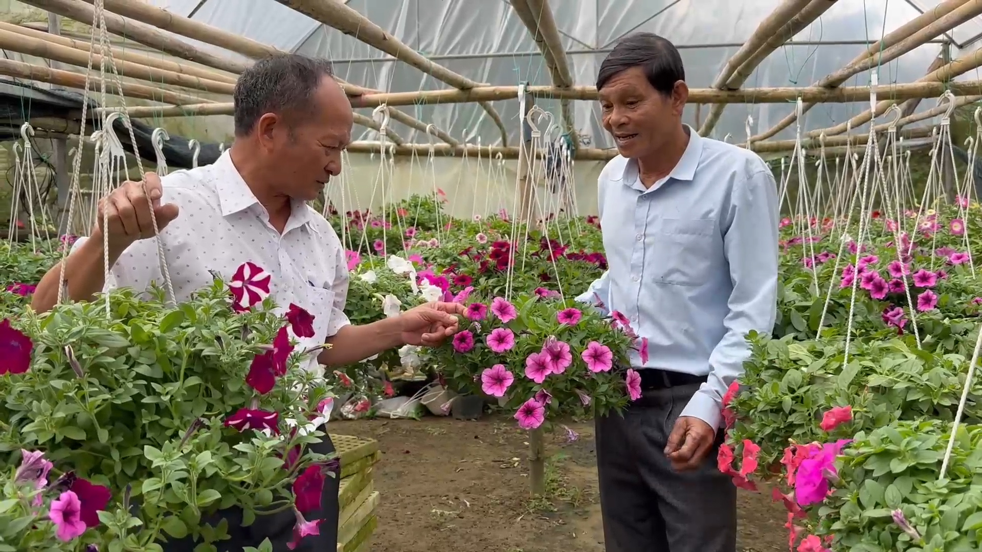 Bản tin Kinh tế - Thị trường ngày 20 1