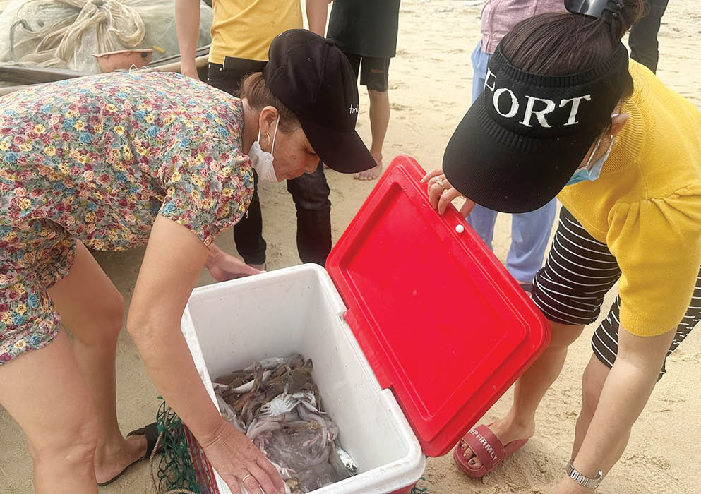 Mùa biển gần bờ thất bát