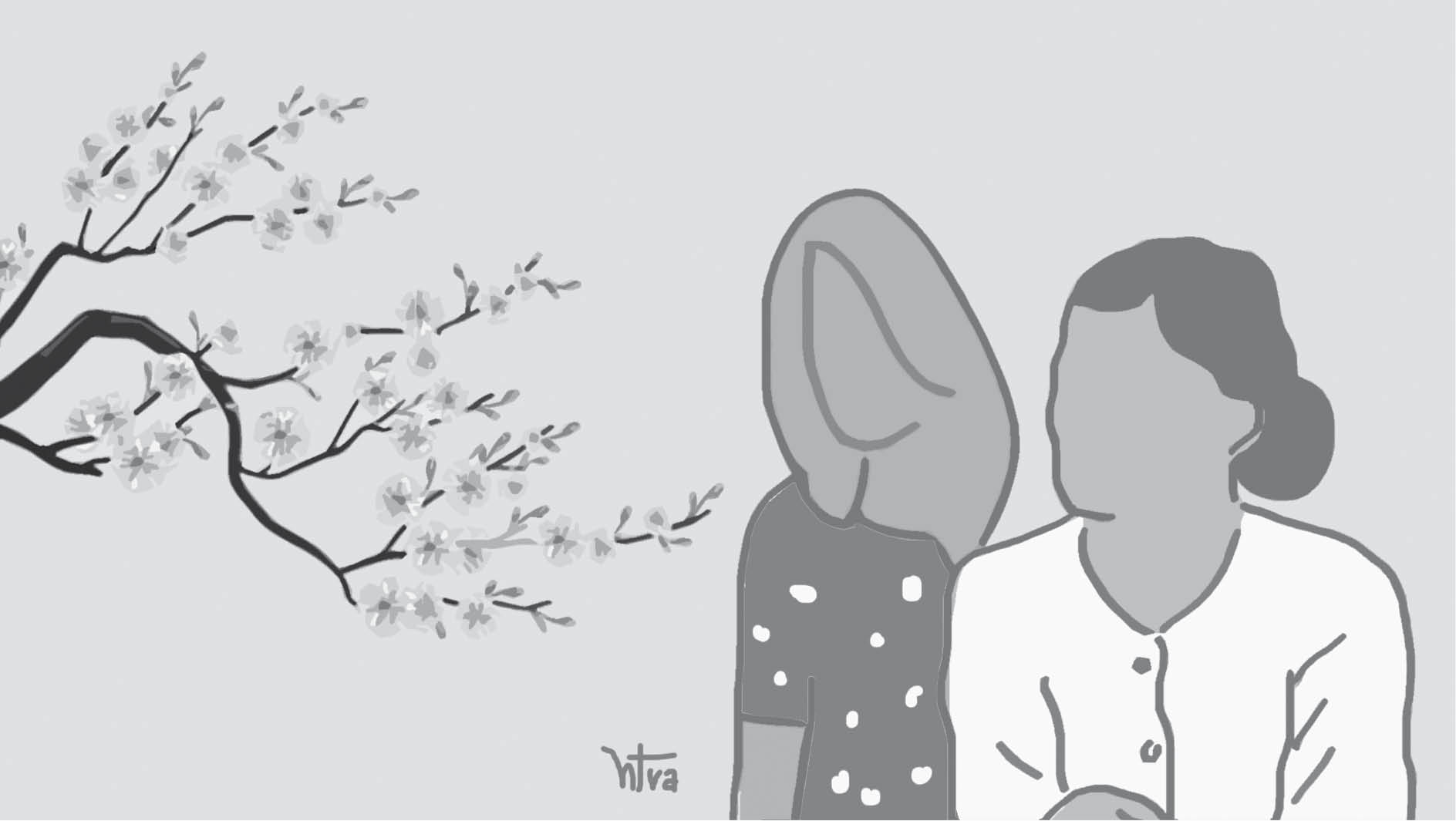 Nhành mai nở muộn