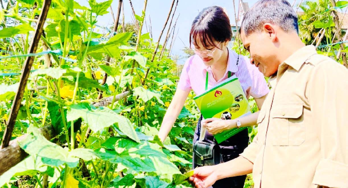 Thoát nghèo từ vốn vay ưu đãi