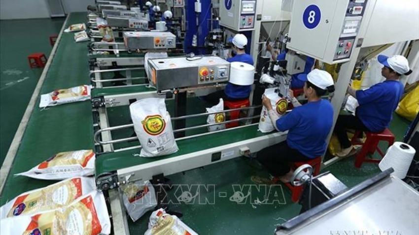 Đắt hàng, doanh nghiệp xuất khẩu gạo vẫn thận trọng chọn đơn