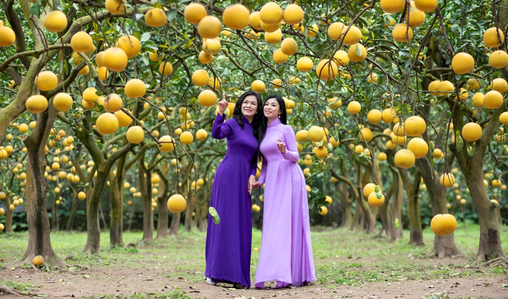 Bản tin Văn hóa du lịch ngày 25 1