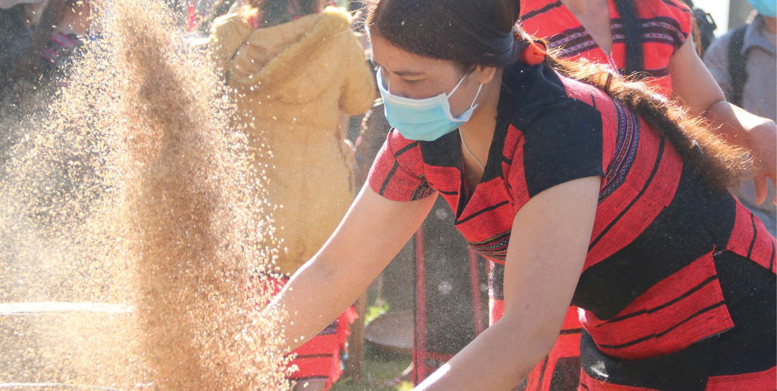 Kết nối các điểm du lịch nông thôn tạo sản phẩm du lịch