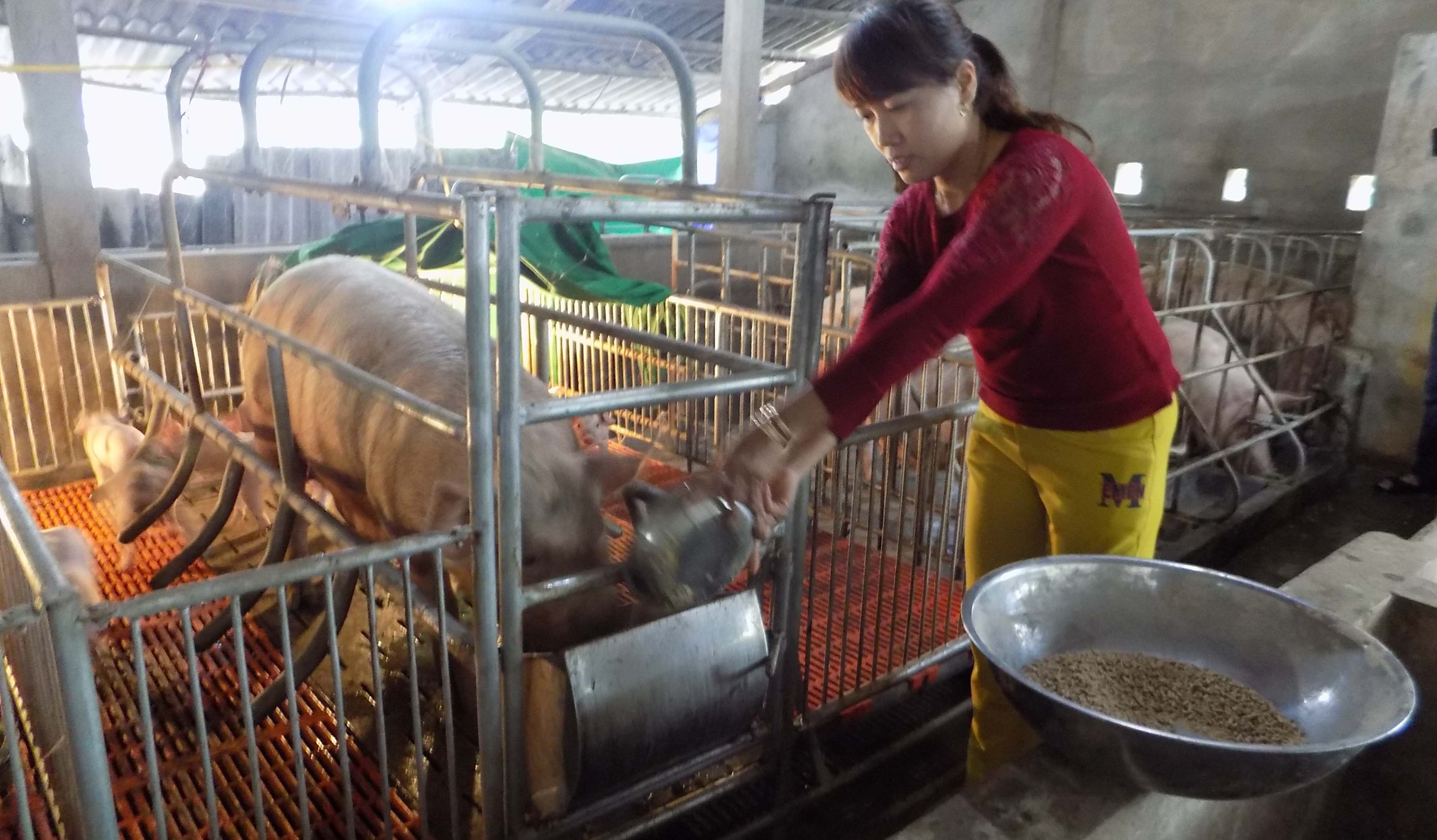 Không chủ quan với rét đậm, rét hại