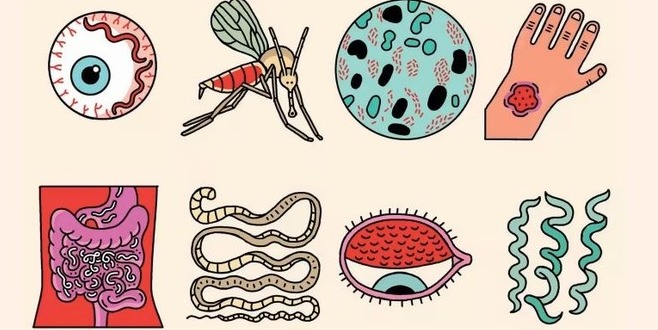 WHO kêu gọi đổi mới nỗ lực toàn cầu để loại bỏ các bệnh nhiệt đới bị lãng quên