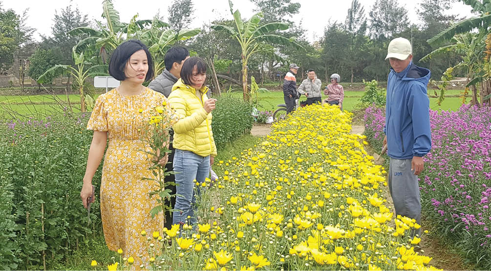 Về làng “check-in”