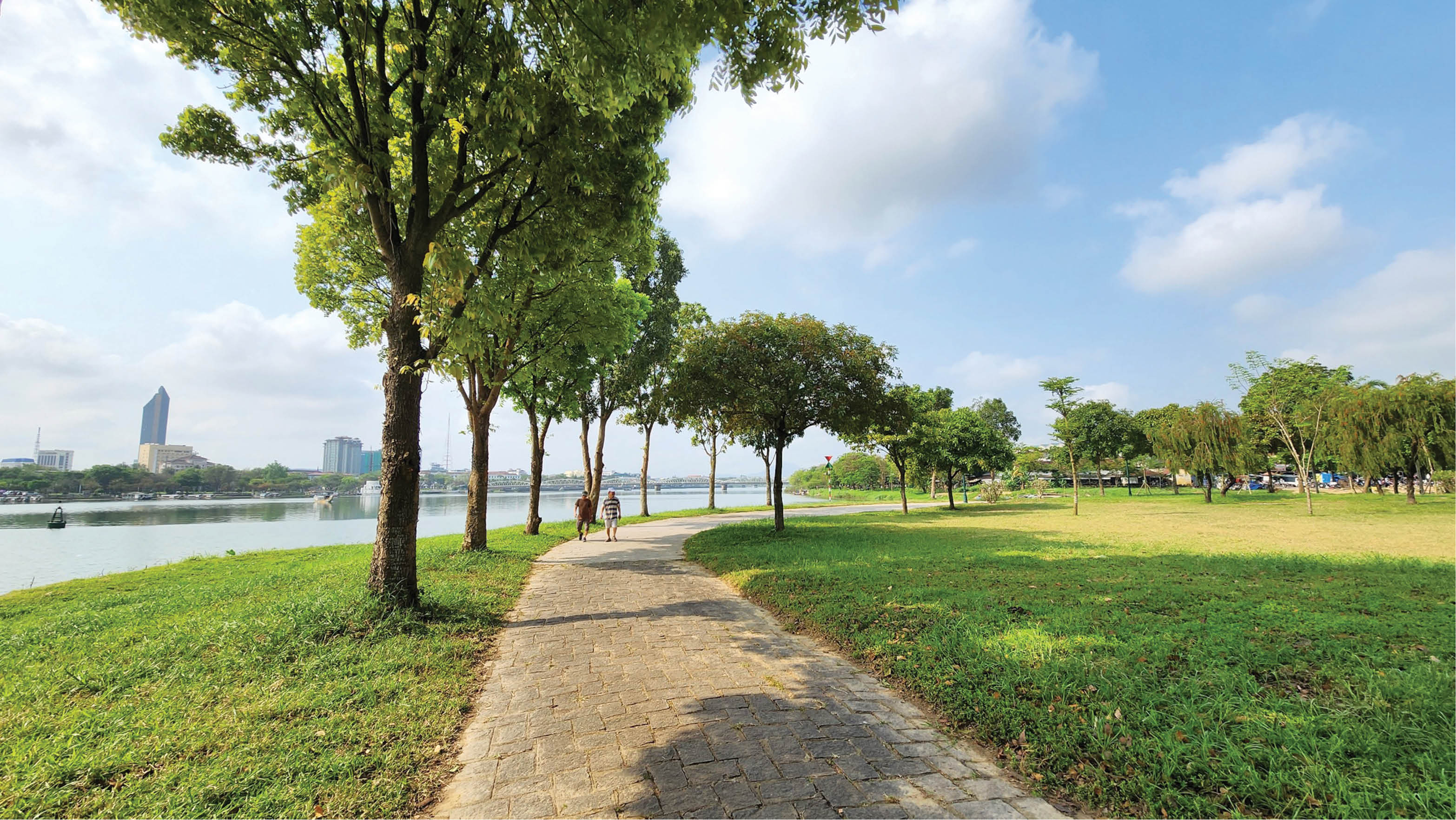 Thức giấc giữa miền xanh