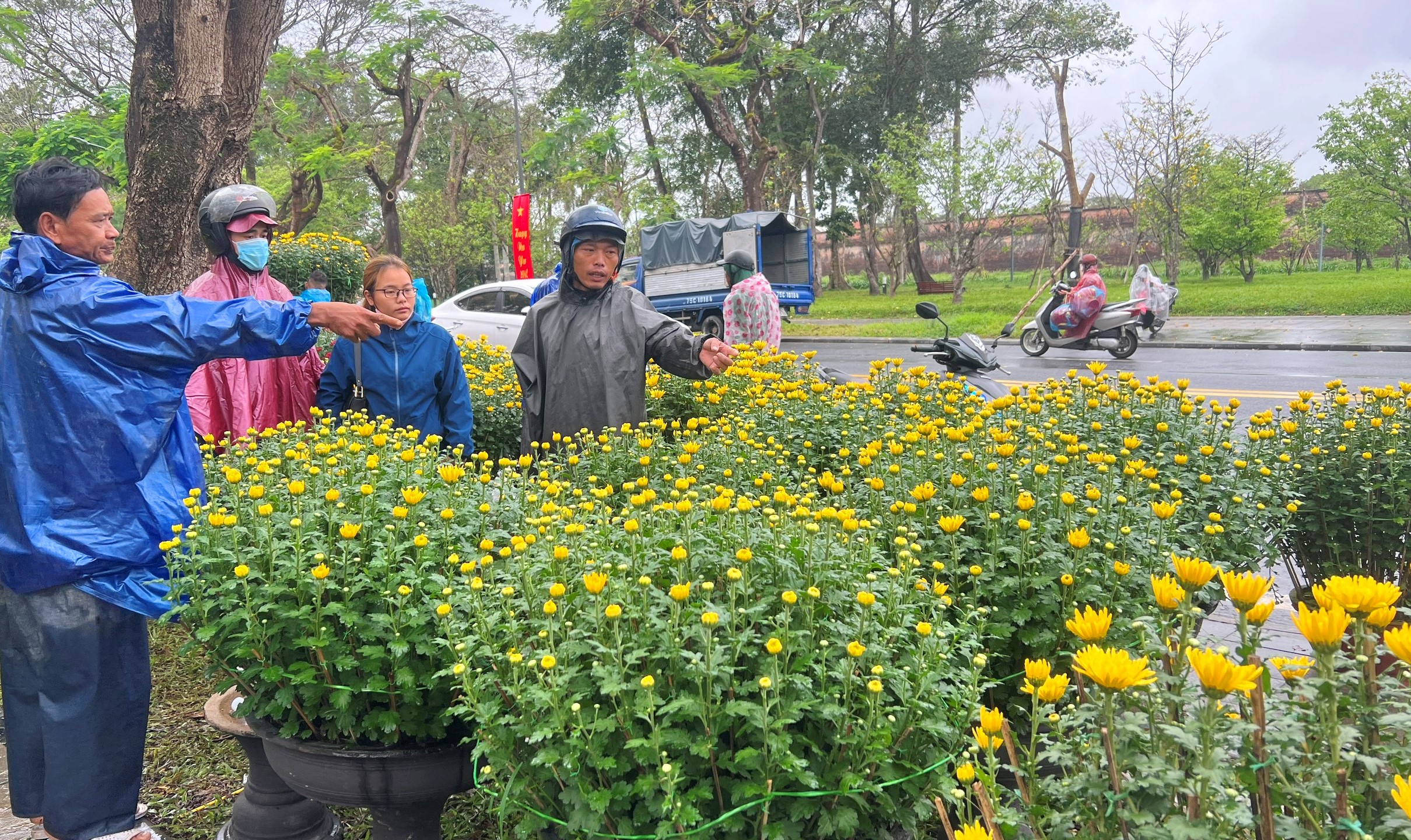 Hoa tết – một góc nhìn