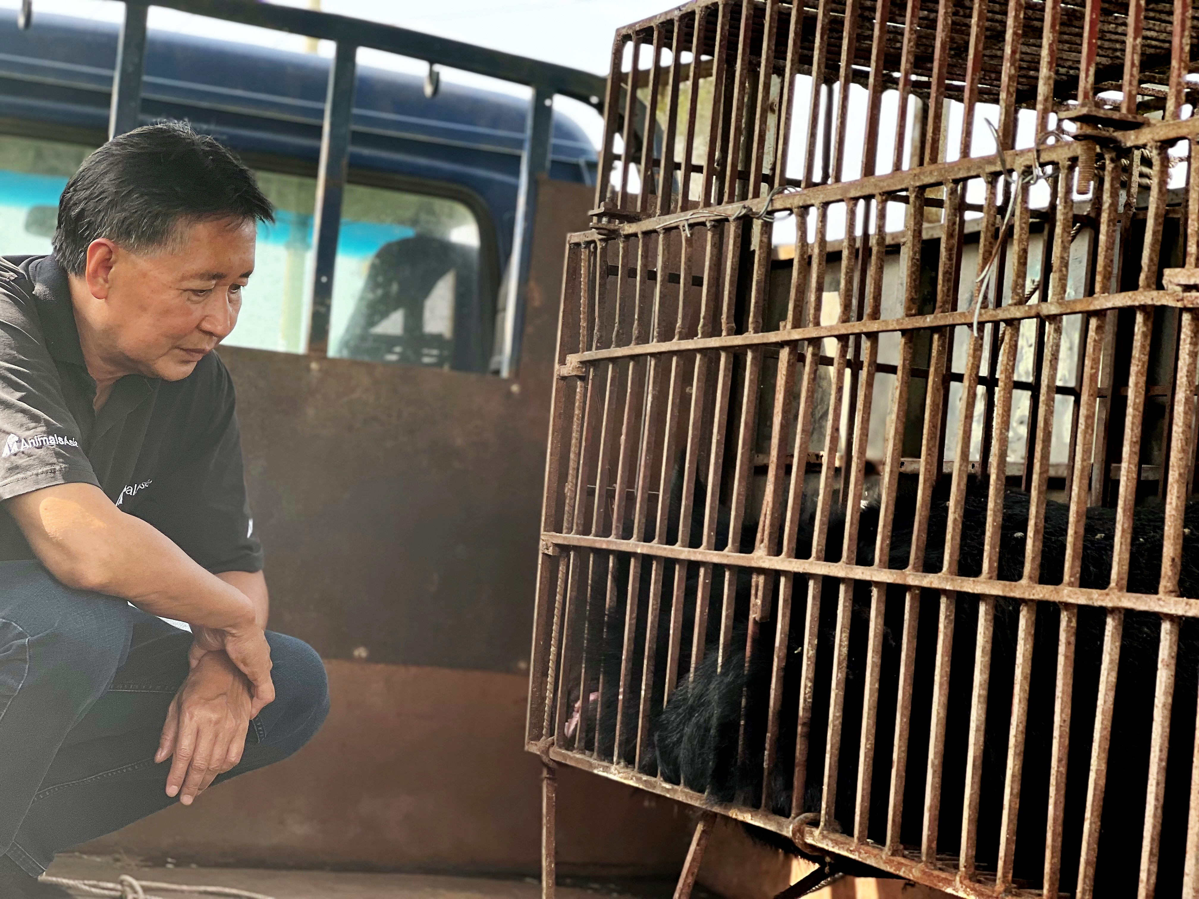 Giấc mơ đưa gấu trở về rừng tự nhiên