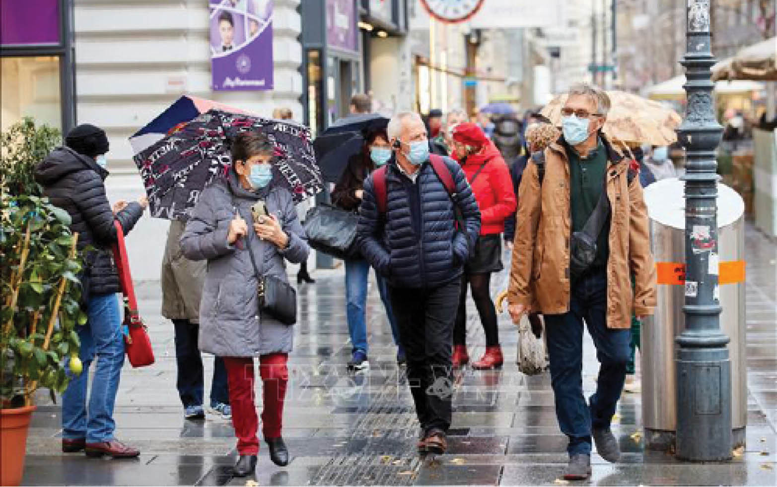 ECDC cảnh báo tăng đột biến số ca nhiễm chủng vi khuẩn nguy hiểm