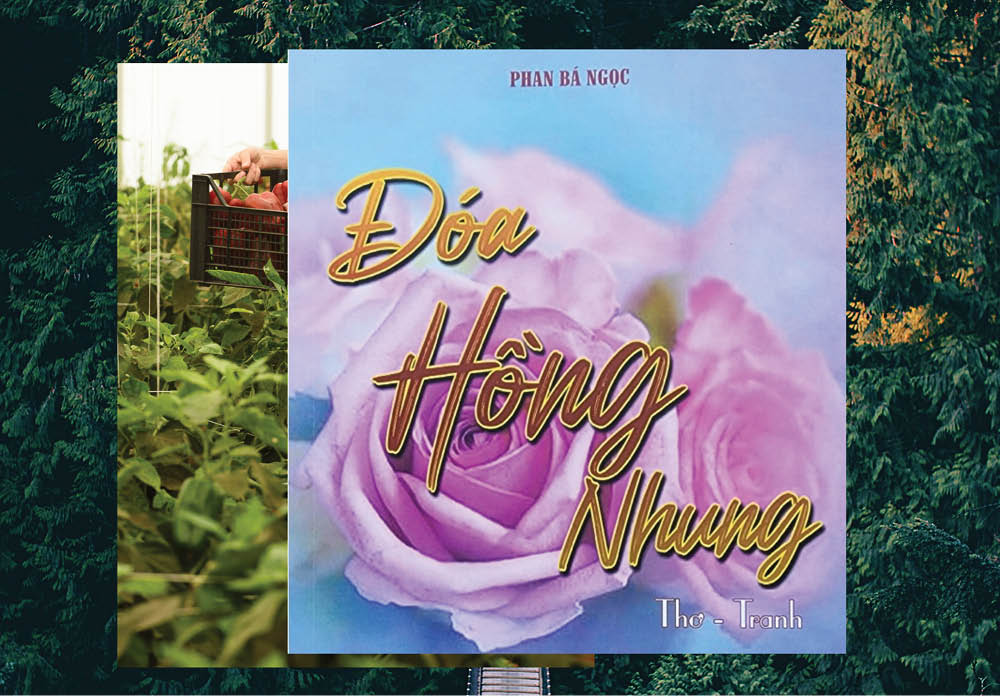 Đóa hồng nhung cho em