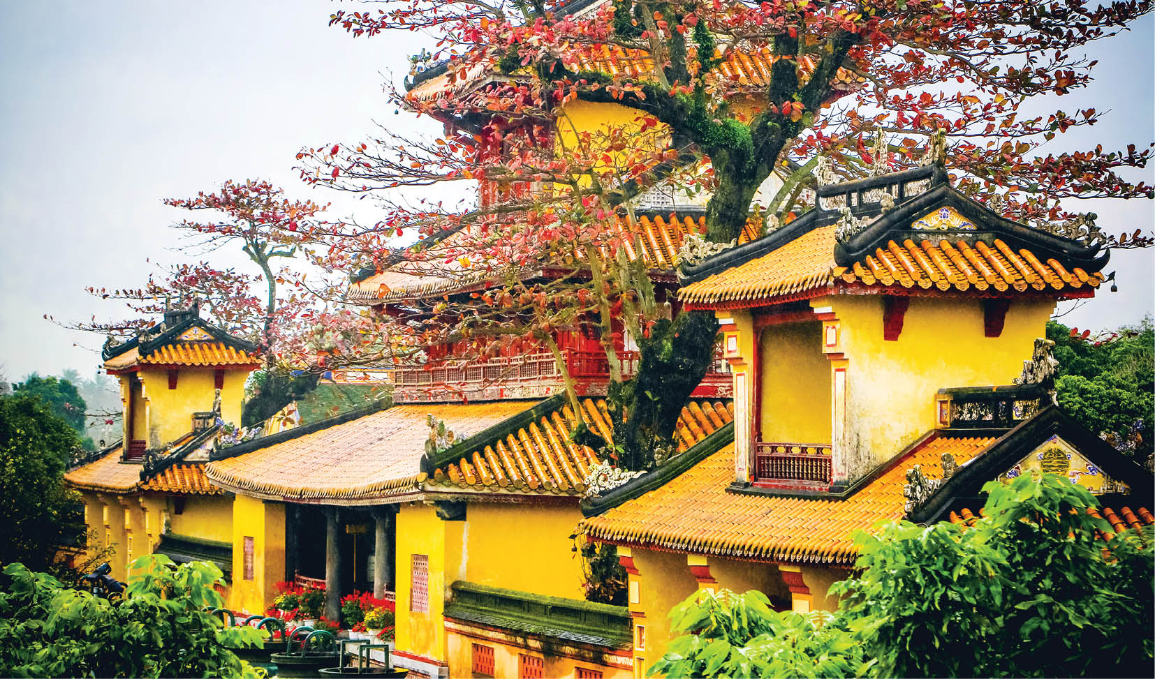 Ký ức rồng xanh