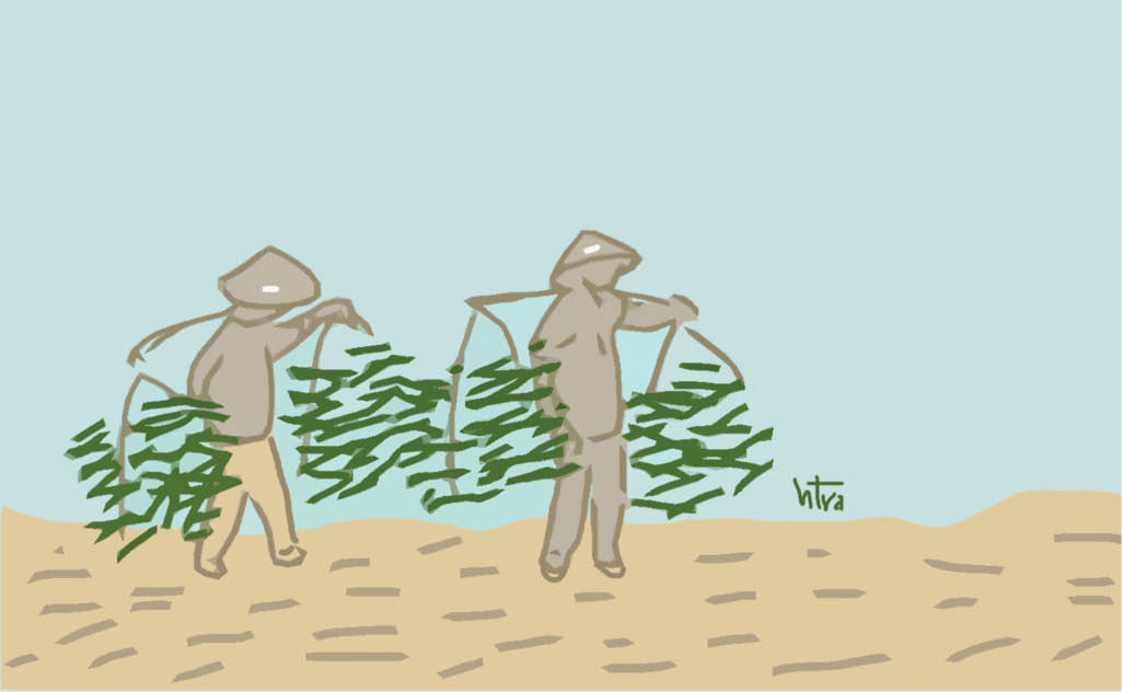 Tháng Giêng theo mẹ ra đồng