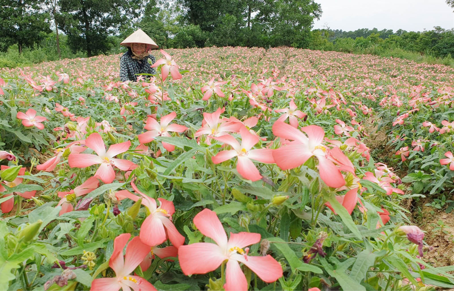 Khơi nguồn các ý tưởng, dự án khởi nghiệp