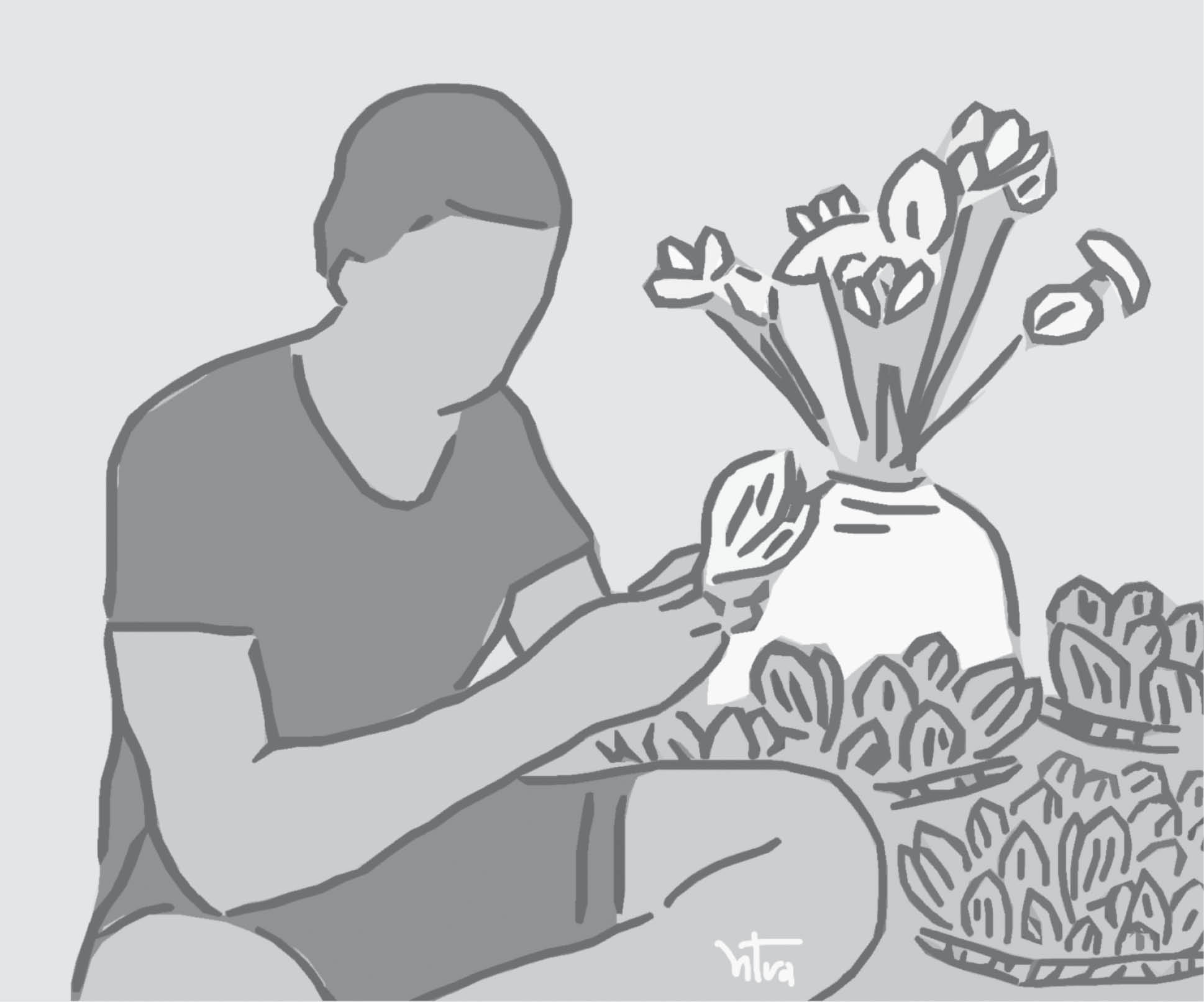 Bông giấy vẫn nở dưới mưa xuân