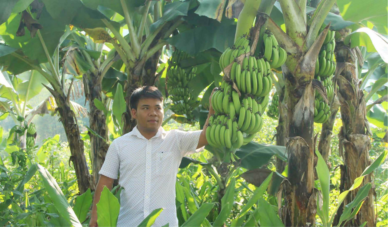 Người miền núi làm nông nghiệp tuần hoàn