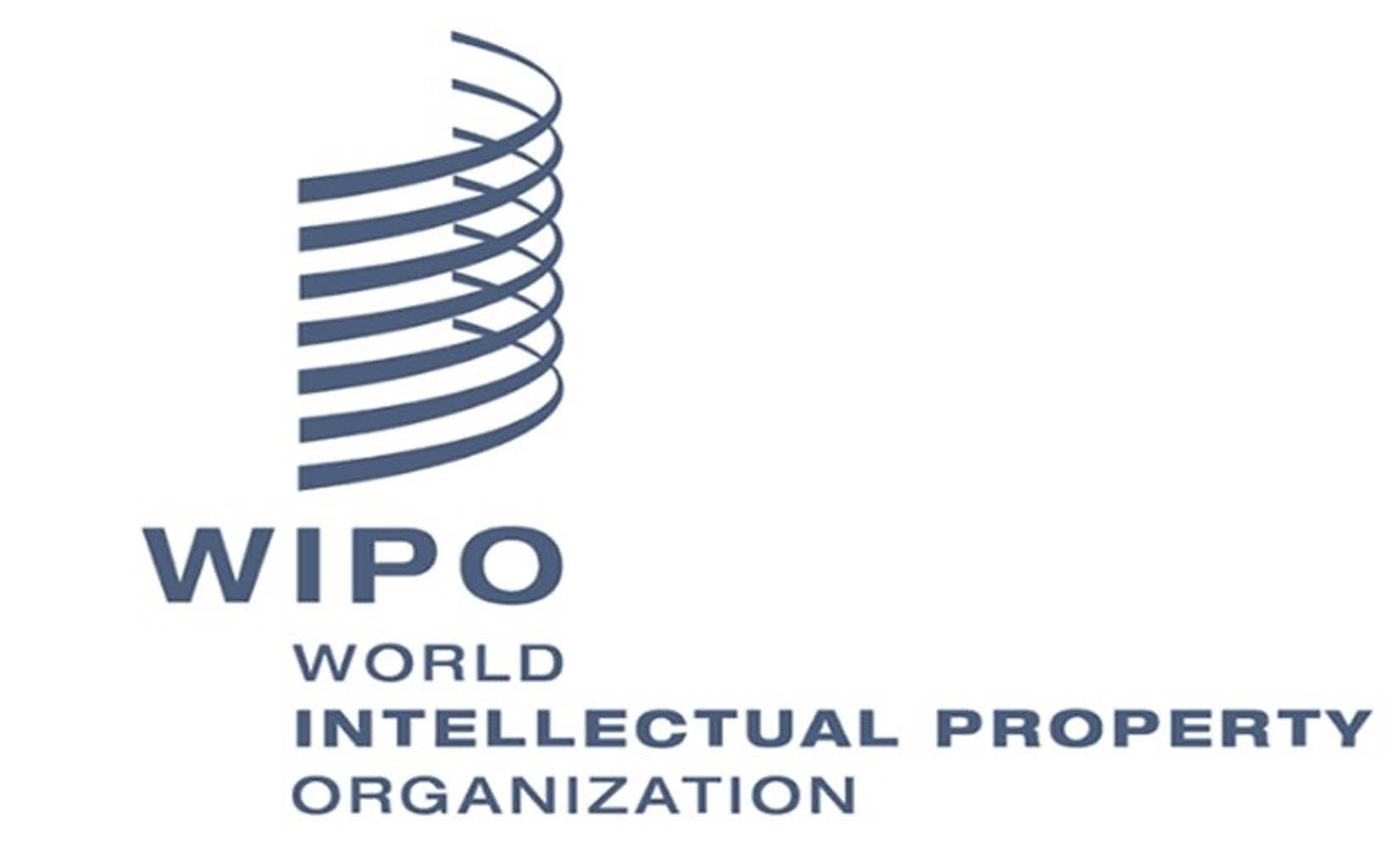 Số đơn đăng ký bằng sáng chế toàn cầu giảm lần đầu tiên sau 14 năm