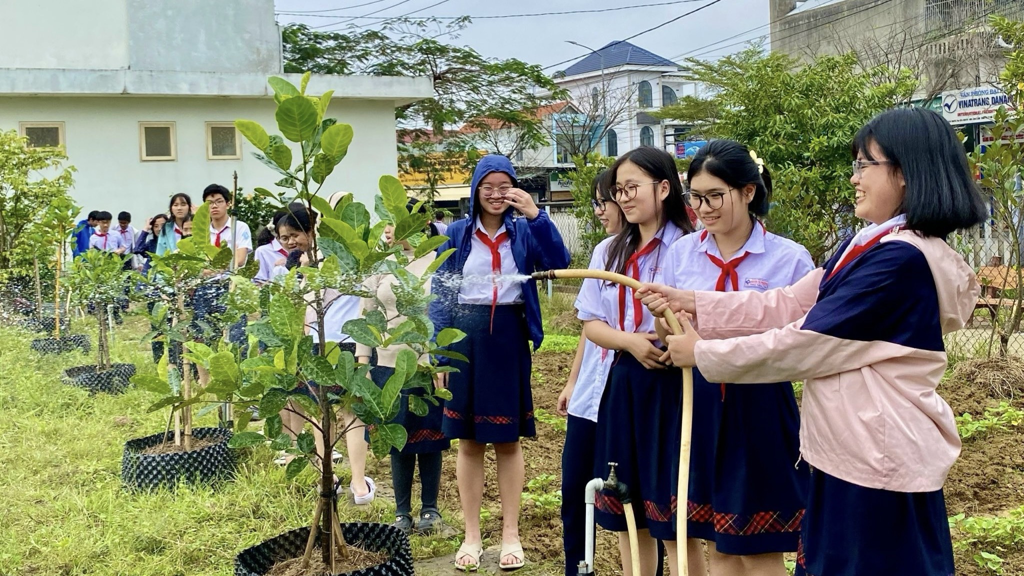 Sáng tạo với vườn thực hành sinh học