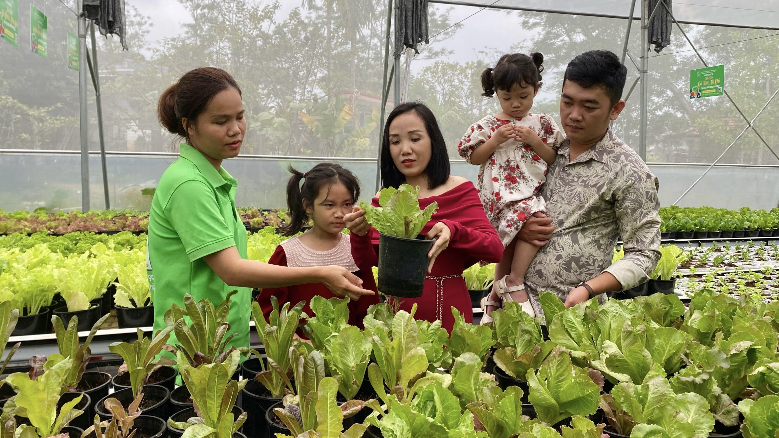 Hấp dẫn tour trải nghiệm nông nghiệp công nghệ cao