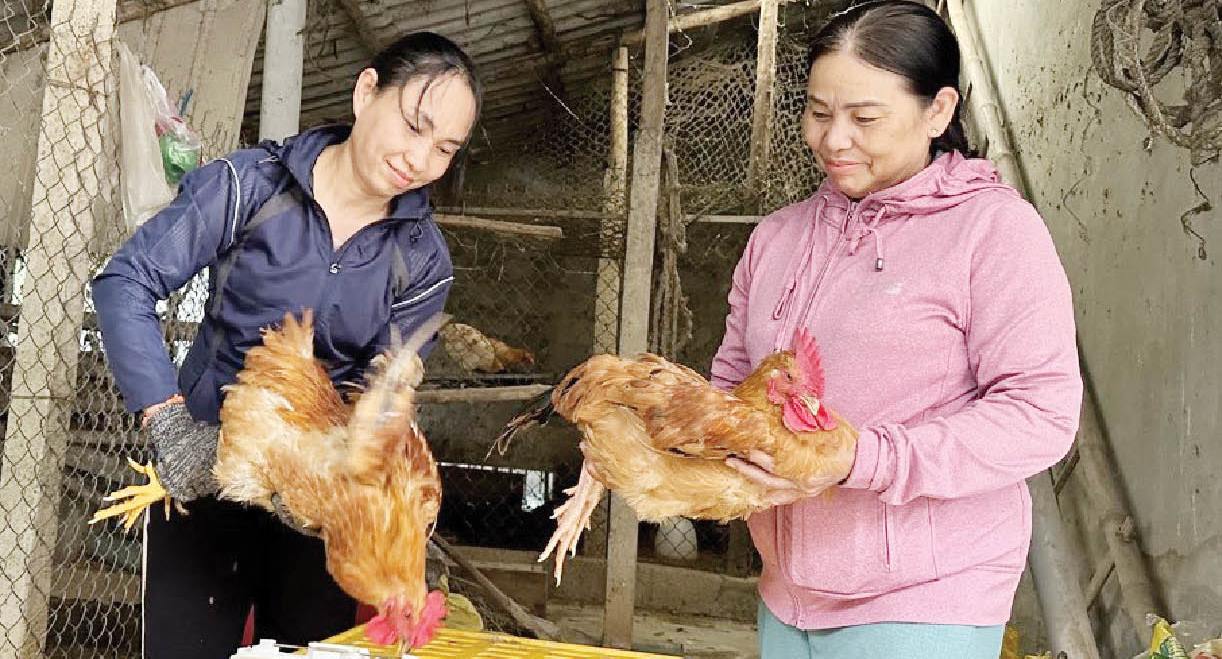 Chị Viễn vượt khó làm kinh tế giỏi