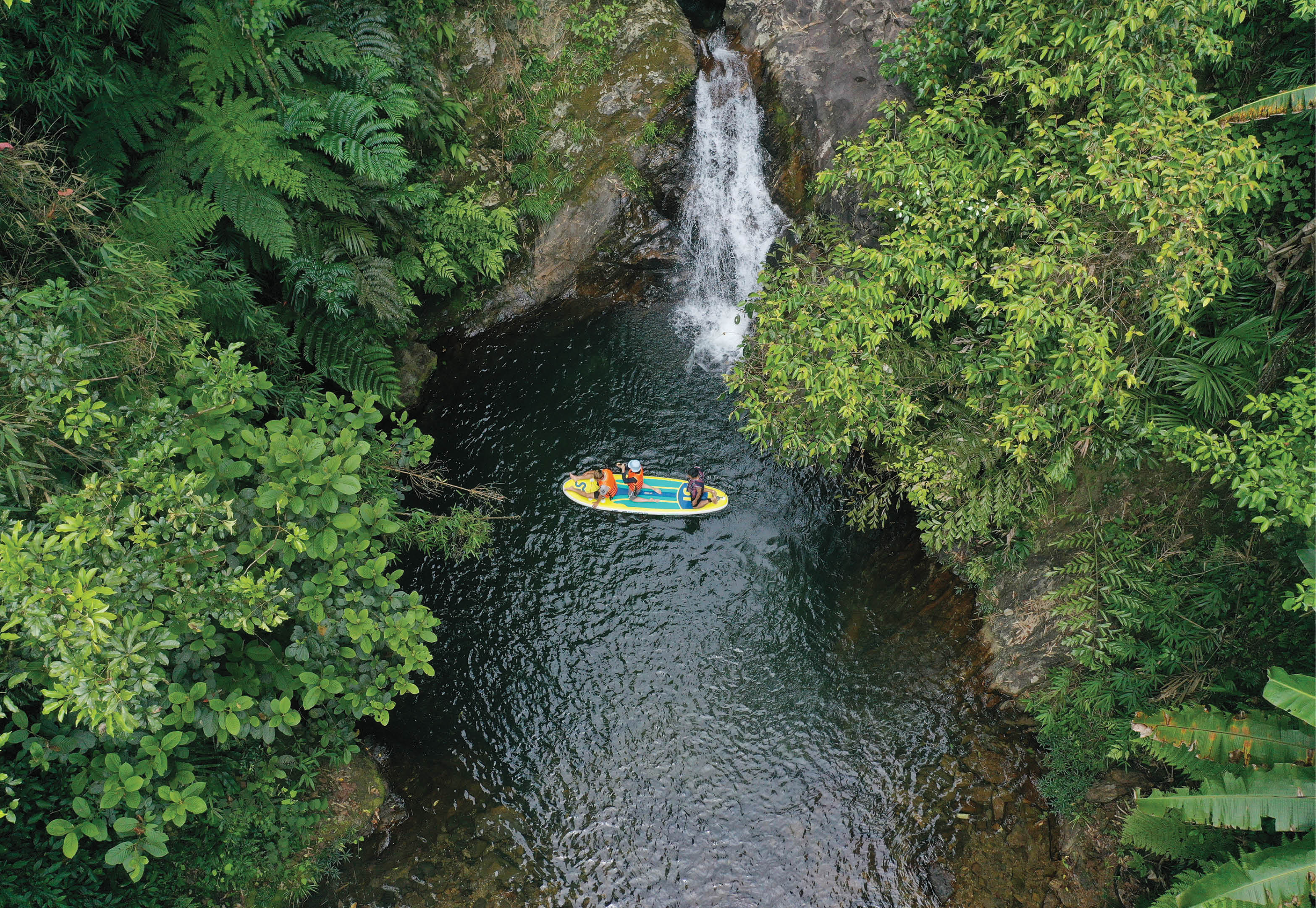 “Kho báu” dưới tán rừng nguyên sinh