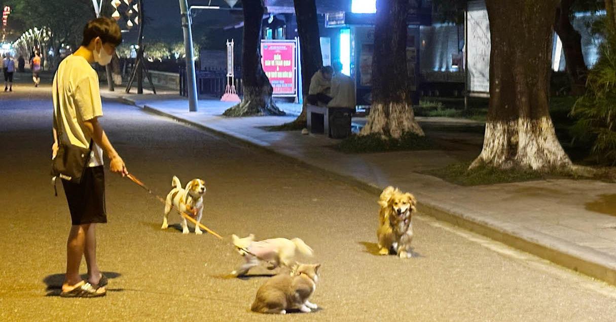 Việc nhỏ, tránh hậu quả lớn