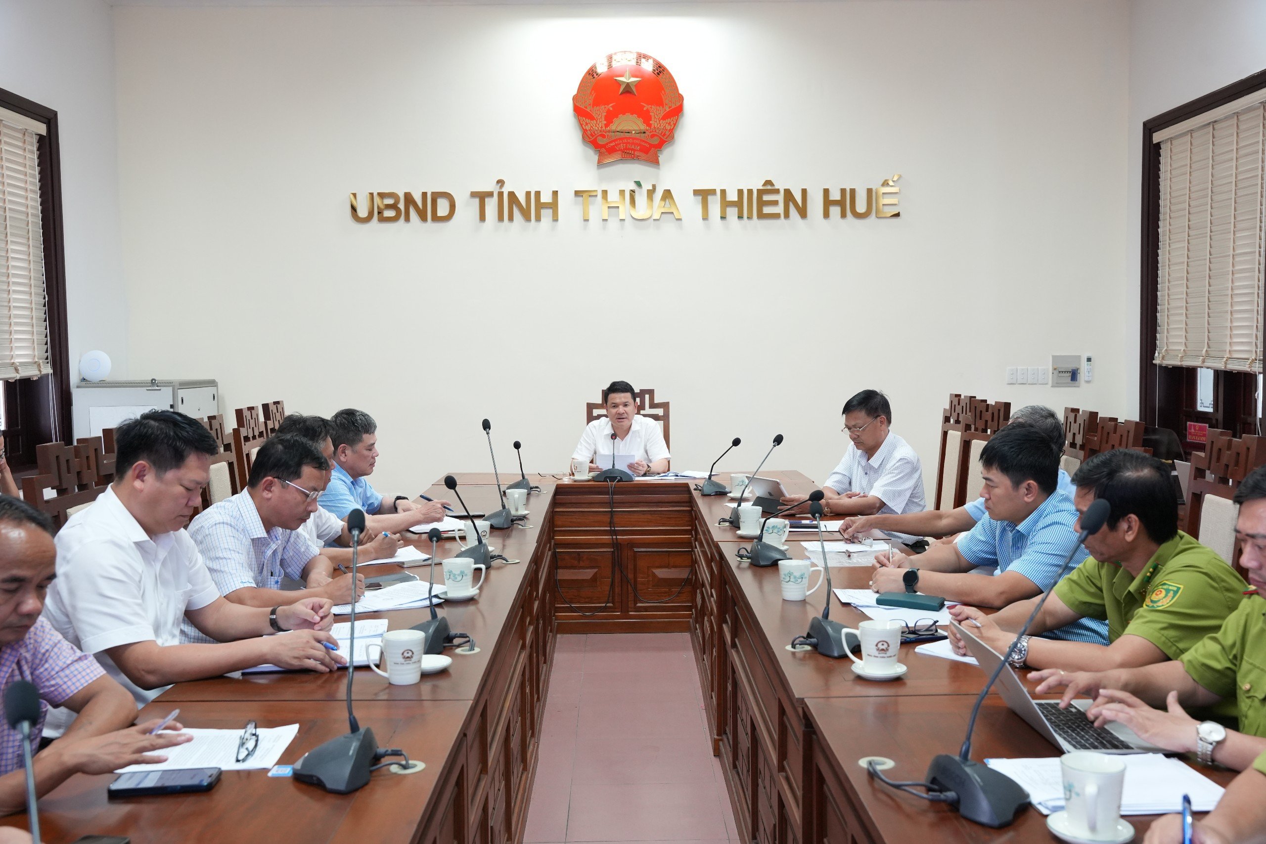 Thành lập tổ công tác cấp huyện chỉ đạo trồng rừng gỗ lớn