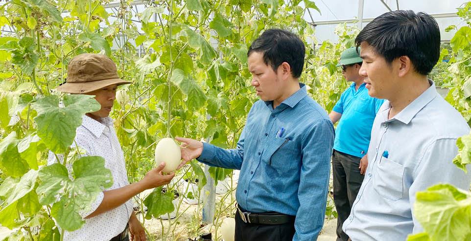 Những nông dân thu nhập tiền tỷ