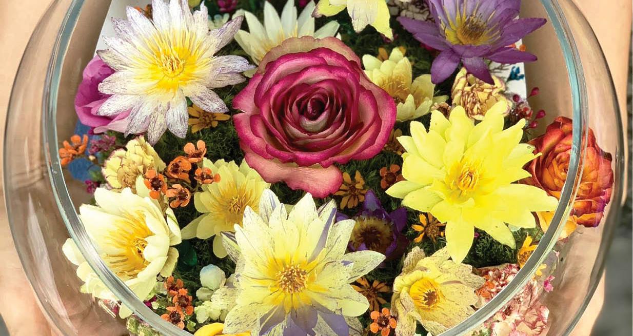 Hương sắc Cố đô