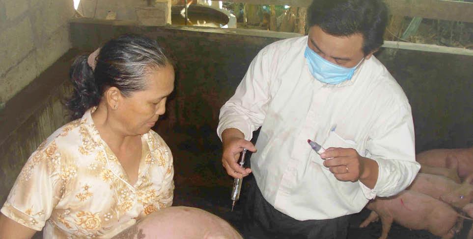 Ứng phó nguy cơ dịch bệnh gia súc, gia cầm